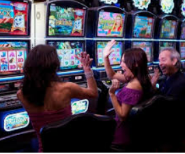 595cc开元官网版2024最新版