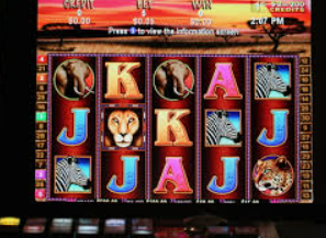 595cc开元官网版2024最新版