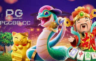 595cc开元官网版2024最新版