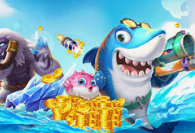 595cc开元官网版最新版