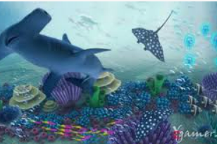 595cc开元官网版最新版