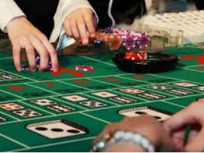 595cc开元官网版最新版